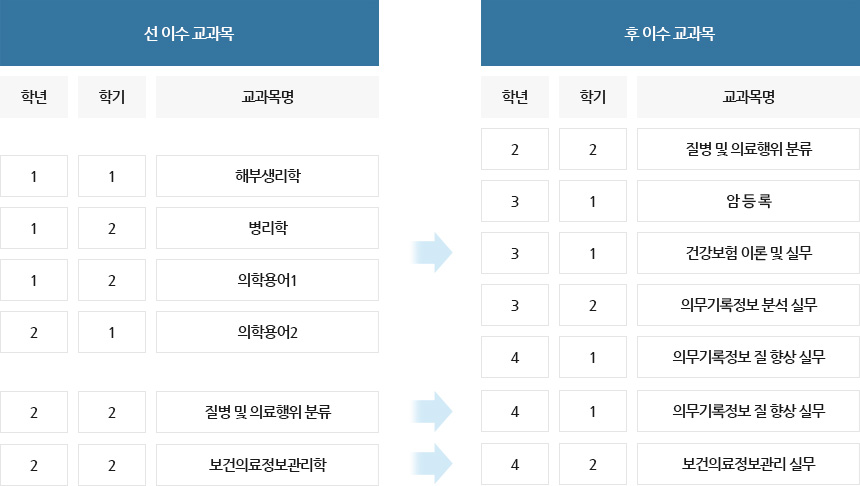 보건의료정보관리교육 프로그램 선-후 이수 체계 / 선 이수 교과목 1학년 1학기 해부생리학, 1학년 2학기 병리학,  1학년 2학기 의학용어1,  2학년 1학기 의학용어2,  2학년 2학기 질병 및 의료행위 분류,  2학년 2학기 보건의료정보관리학 / 후 이수 교과목 2학년 2학기 질병 및 의료행위 분류, 3학년 1학기 암 등 록, 3학년 1학기 건강보험 이론 및 실무, 3학년 2학기 의무기록정보 분석 실무, 4학년 1학기 의무기록정보 질 향상 실무, 4학년 1학기 의무기록정보 질 향상 실무, 4학년 2학기 보건의료정보관리 실무