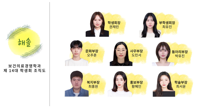 보건의료경영학과 조직도